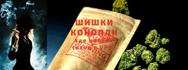 соль ск Дмитриев