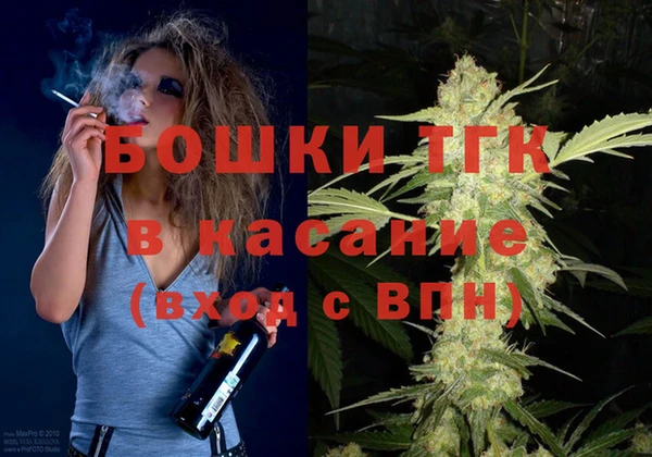 соль ск Дмитриев