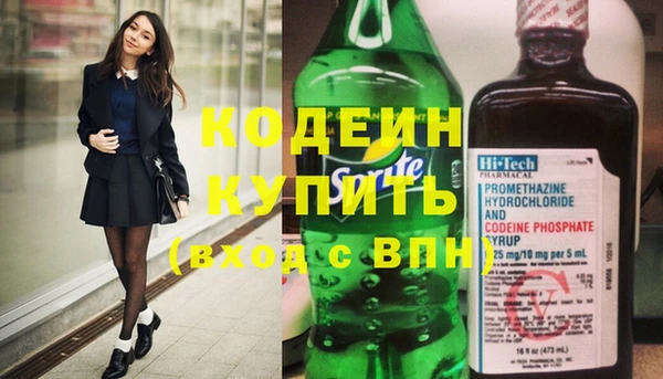 соль ск Дмитриев