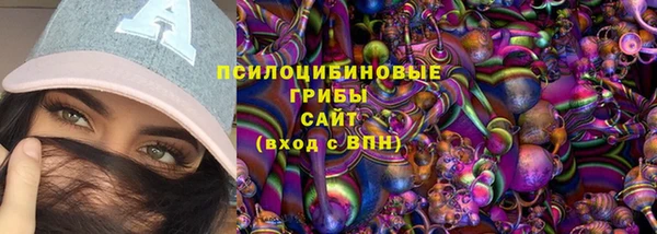 скорость Гусев