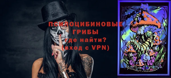 скорость Гусев